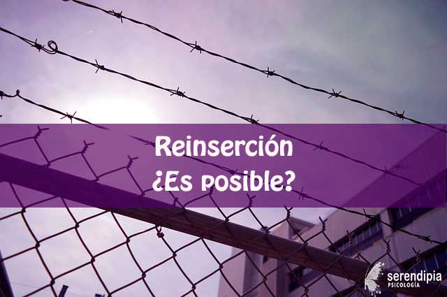 reinsercion-es-posible-blog