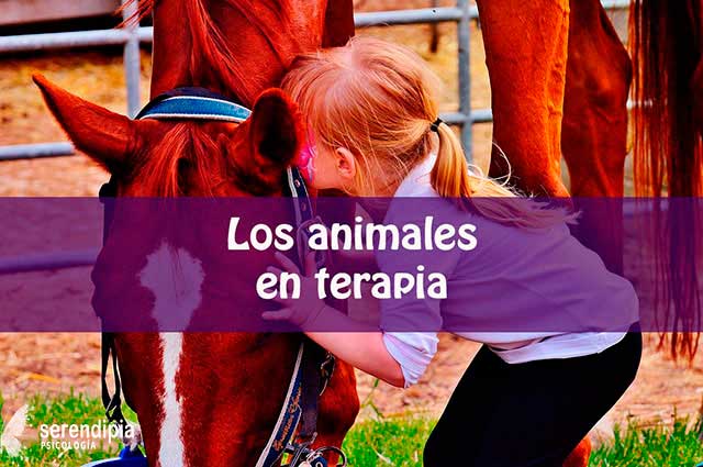 terapia-con-animales-blog
