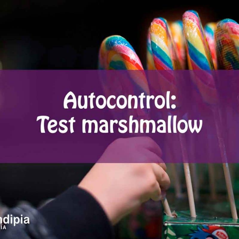 auto-control-test-marshmallow